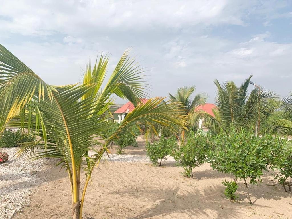 Bosofet Beach And Creek Lodge Sanyang Zewnętrze zdjęcie