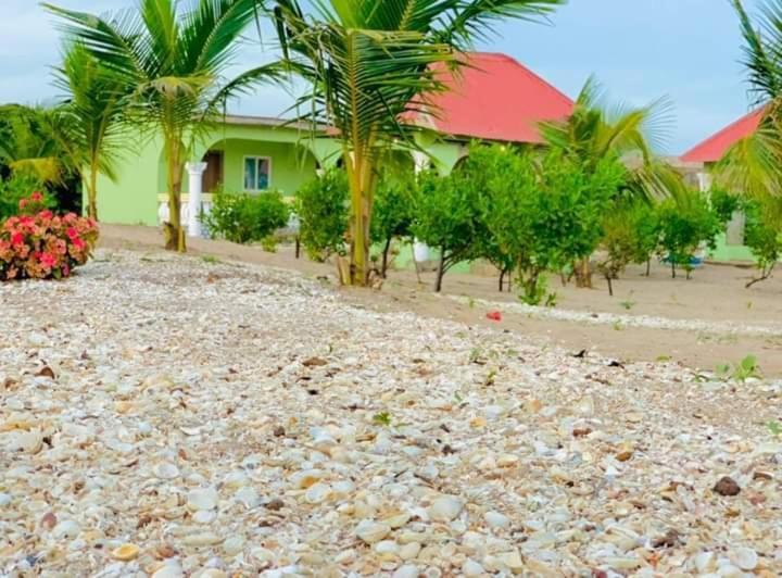 Bosofet Beach And Creek Lodge Sanyang Zewnętrze zdjęcie